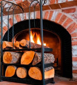 Оптимальное топливо для камина: секреты выбора дров