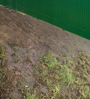 Осушаем участок: эффективные методы и технологии