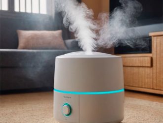 Ароматерапия в доме: использование эфирных масел в увлажнителе