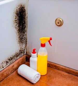 Плесень в ванной: причины и решения