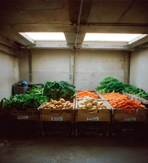 Важность правильной вентиляции в овощехранилище