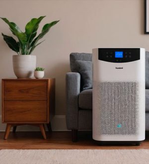 Что лучше выбрать: очиститель воздуха или увлажнитель?