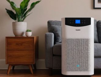 Что лучше выбрать: очиститель воздуха или увлажнитель?