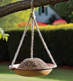 Создаём уют для пернатых: как сделать кормушку своими руками и привлечь птиц в ваш сад