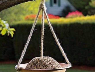 Создаём уют для пернатых: как сделать кормушку своими руками и привлечь птиц в ваш сад