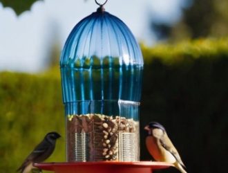Как сделать кормушку для птиц из пластиковой бутылки: шаг за шагом к экологичному саду