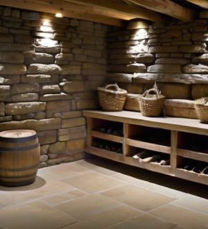 Как выбрать идеальную известь для вашего погреба: гашеная против негашеной