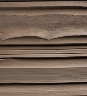 Короед штукатурка: секреты популярности и практического применения в строительстве