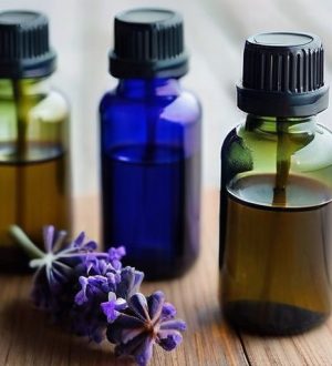 Как избавиться от мышей: эффективные народные средства для вашего дома