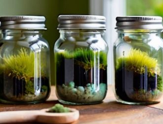 Как стабилизировать мох в домашних условиях: пошаговое руководство для создания уникального декора