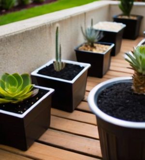 Альтернативы керамзиту: Как выбрать лучший дренаж для ваших растений