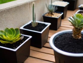 Альтернативы керамзиту: Как выбрать лучший дренаж для ваших растений