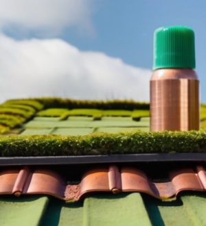 Эффективные решения для борьбы с мхом на крыше: от причин до профилактики