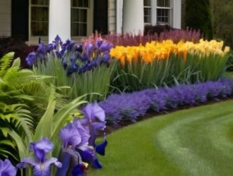 Ирисы в вашем саду: секреты успешного сочетания с другими растениями