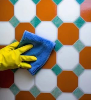 Как эффективно удалить плесень с обоев и защитить здоровье семьи