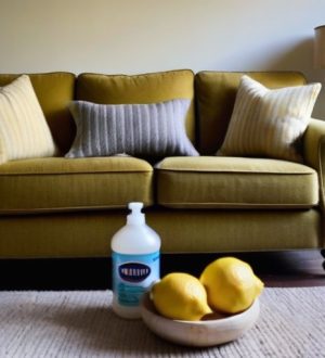 Как избавиться от запаха мочи на диване: полезные советы и рекомендации