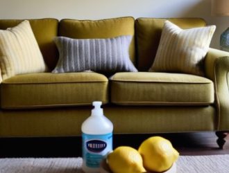 Как избавиться от запаха мочи на диване: полезные советы и рекомендации