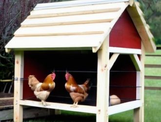 Как построить идеальный насест для кур несушек своими руками: пошаговое руководство и советы экспертов