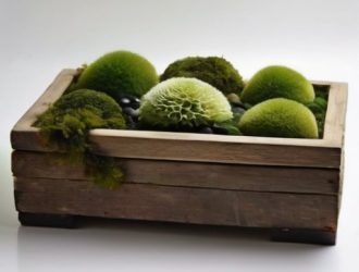 Стабилизированный мох: Как создать уникальный декор для вашего дома