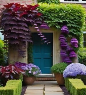 Вьющиеся растения: как преобразить ваш сад и интерьер с помощью зелёного дизайна