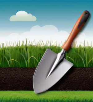 Идеальный газон: секреты успешного посева и ухода за травой