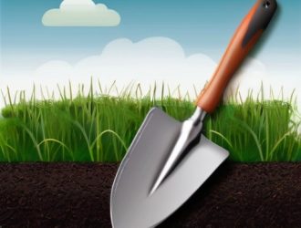 Идеальный газон: секреты успешного посева и ухода за травой