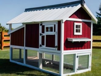 Как правильно построить курятник для 10 несушек: от требований до экономических аспектов