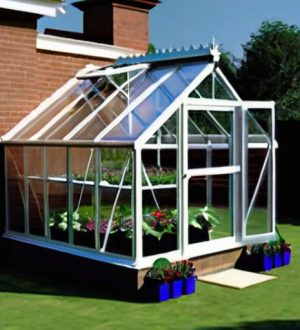 Как правильно установить теплицу из поликарбоната: от выбора места до обустройства внутреннего пространства