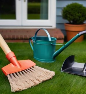 Создание идеального газона: от выбора семян до ухода за травой