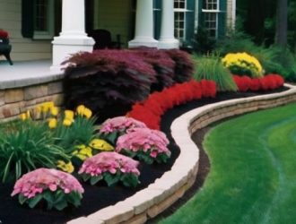 Создание Цветущей Клумбы: Преимущества Многолетников и Секреты Успеха